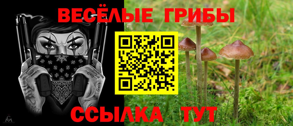 Красноуфимск  Псилоцибиновые грибы Magic Shrooms  хочу наркоту  Вход с VPN 